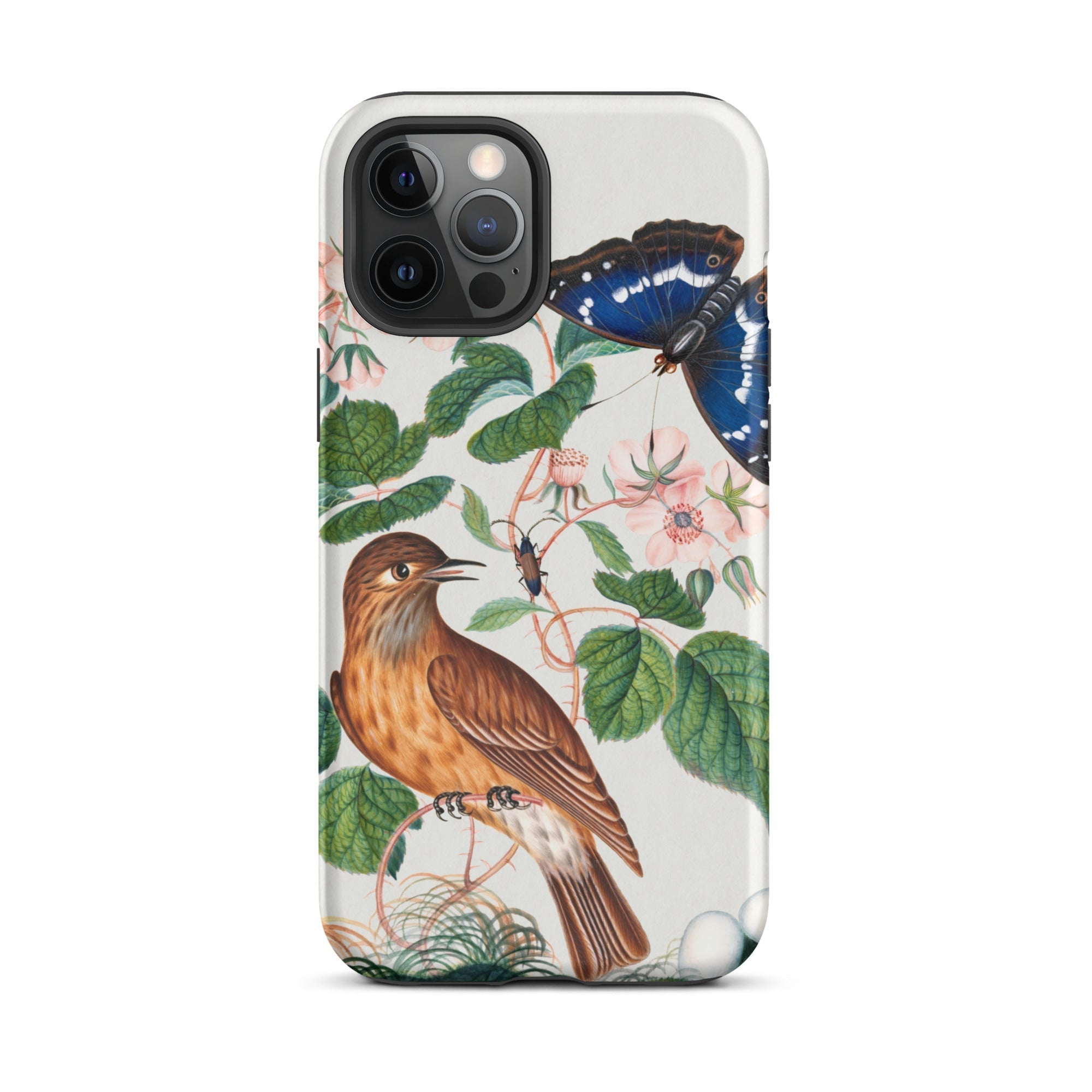 Flycatcher Emperor and Beetle James Bolton Iphone Case, 12 Pro Max / Matte, Bird Butterfly Phone Case