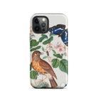 Flycatcher Emperor and Beetle - James Bolton Iphone Case, 12 Pro / Tough Phone, Bird Butterfly Phone Case