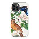 Flycatcher Emperor and Beetle - James Bolton Iphone Case, 13 Pro / Matte, Phone Case Nature-inspired Design Bird Butterfly Among Foliage