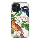 Flycatcher Emperor and Beetle - James Bolton Iphone Case, 13 Pro Max / Matte, Decorative Phone Case Nature Illustration Bird Butterfly