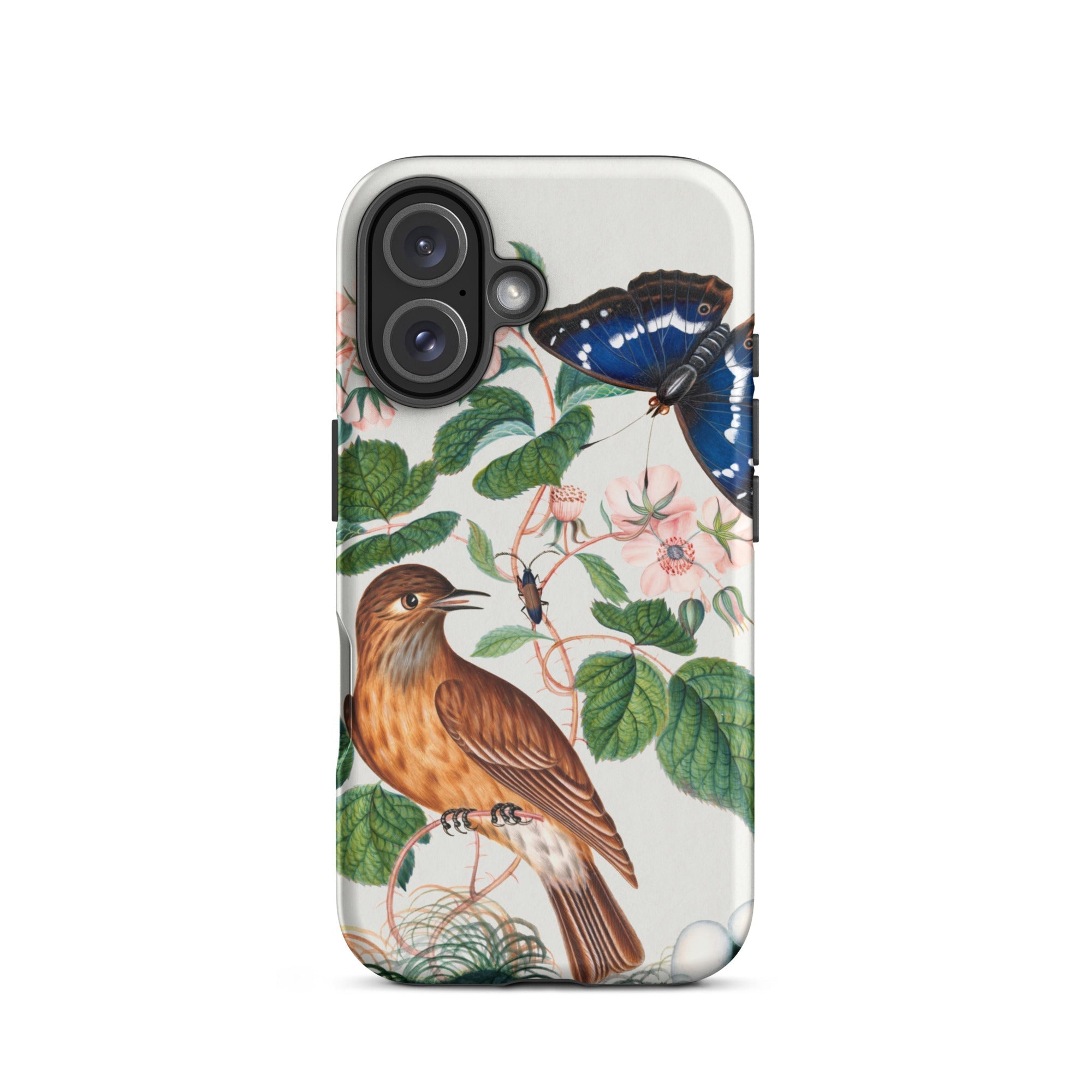 Flycatcher Emperor and Beetle James Bolton Iphone Case, 16 / Matte, Bird Butterfly Patterned Phone Case