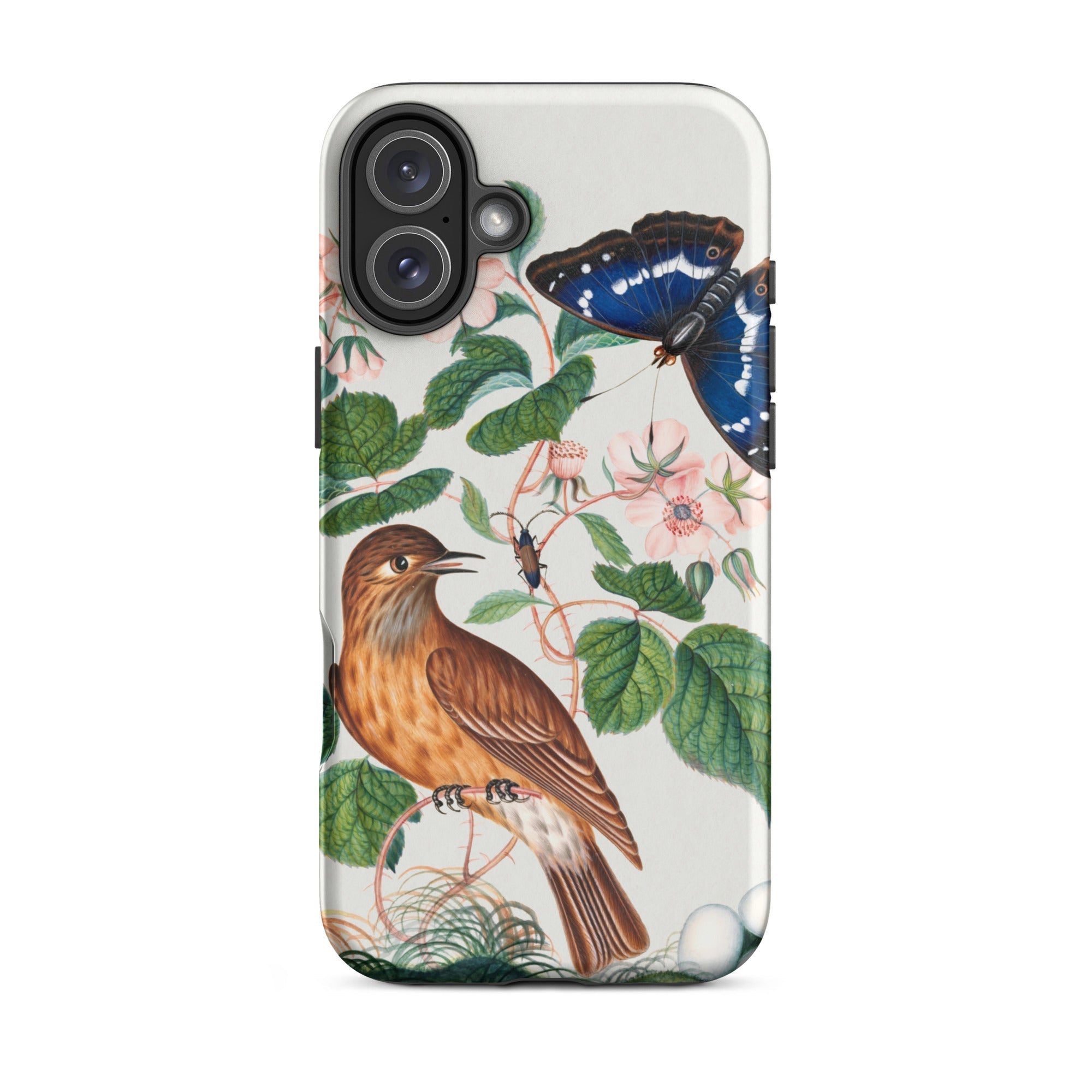 Flycatcher Emperor and Beetle James Bolton Iphone Case, 16 Plus / Matte, Bird Butterfly Phone Case