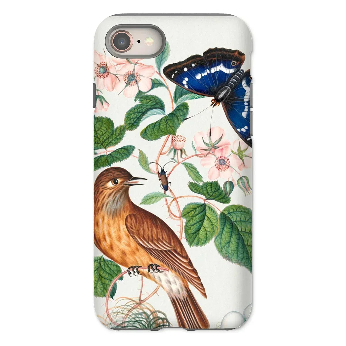Flycatcher Emperor and Beetle - James Bolton Iphone Case, 8 / Matte, Phone Case Nature-inspired Design Bird Butterfly Floral Elements