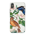 Flycatcher Emperor and Beetle - James Bolton Iphone Case - x / Matte