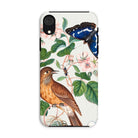 Flycatcher Emperor and Beetle James Bolton Iphone Case, Xr / Matte, Phone Case Nature Inspired Design Bird Butterfly Floral Elements