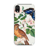Flycatcher Emperor and Beetle - James Bolton Iphone Case, Xr / Matte, Phone Case Nature-inspired Design Bird Butterfly Floral Elements