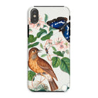 Flycatcher Emperor and Beetle - James Bolton Iphone Case, Xs / Matte, Phone Case Nature-inspired Design Bird Butterfly Floral Elements