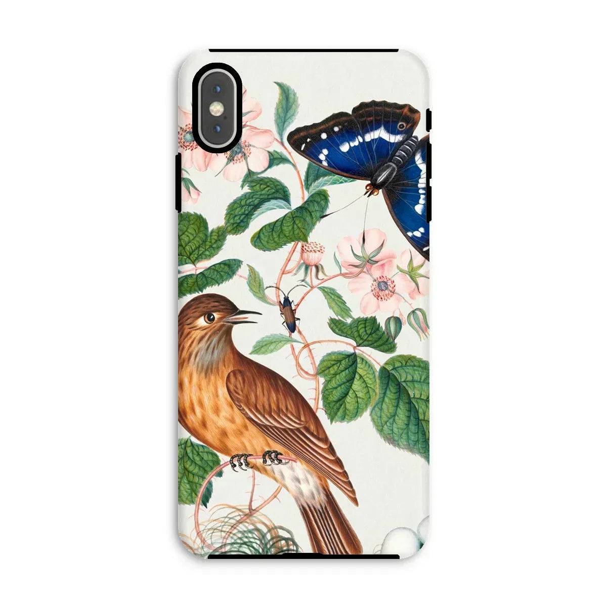Flycatcher Emperor and Beetle - James Bolton Iphone Case, Xs Max / Matte, Phone Case Nature-inspired Design Bird Butterfly Floral Elements