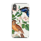 Flycatcher Emperor and Beetle - James Bolton Iphone Case, Xs Max / Matte, Phone Case Nature-inspired Design Bird Butterfly Floral Elements