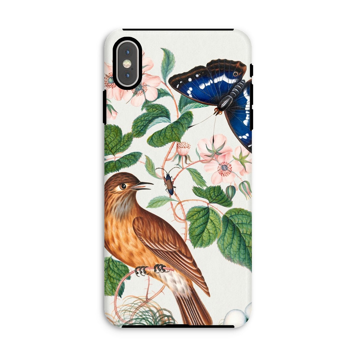 Flycatcher Emperor and Beetle James Bolton Iphone Case, Xs Max / Matte, Phone Case Nature Inspired Design Bird Butterfly Floral Elements