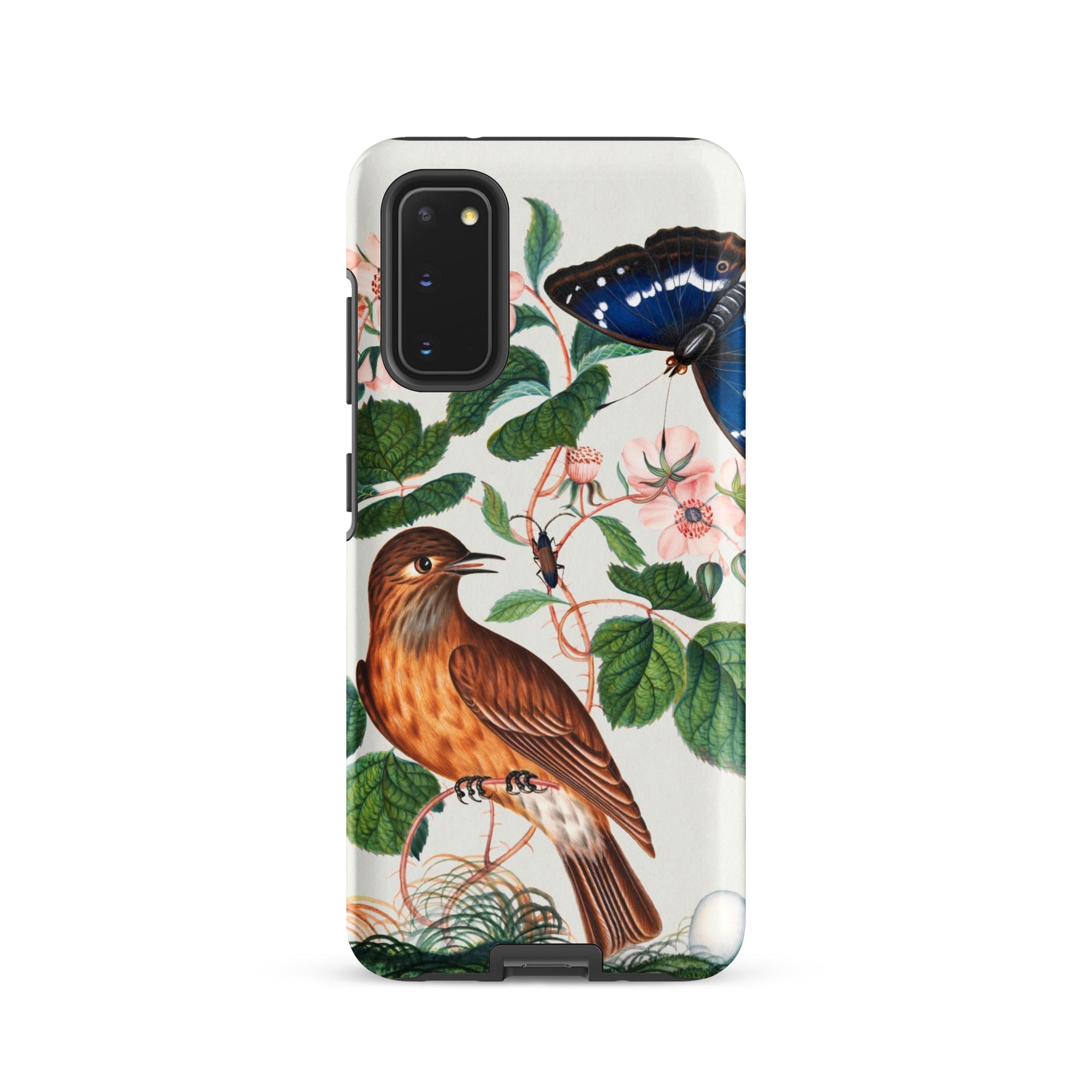 Flycatcher Emperor and Beetle James Bolton Samsung Case, Galaxy S20 / Matte, White Phone Case Natural History Illustration Brown Bird
