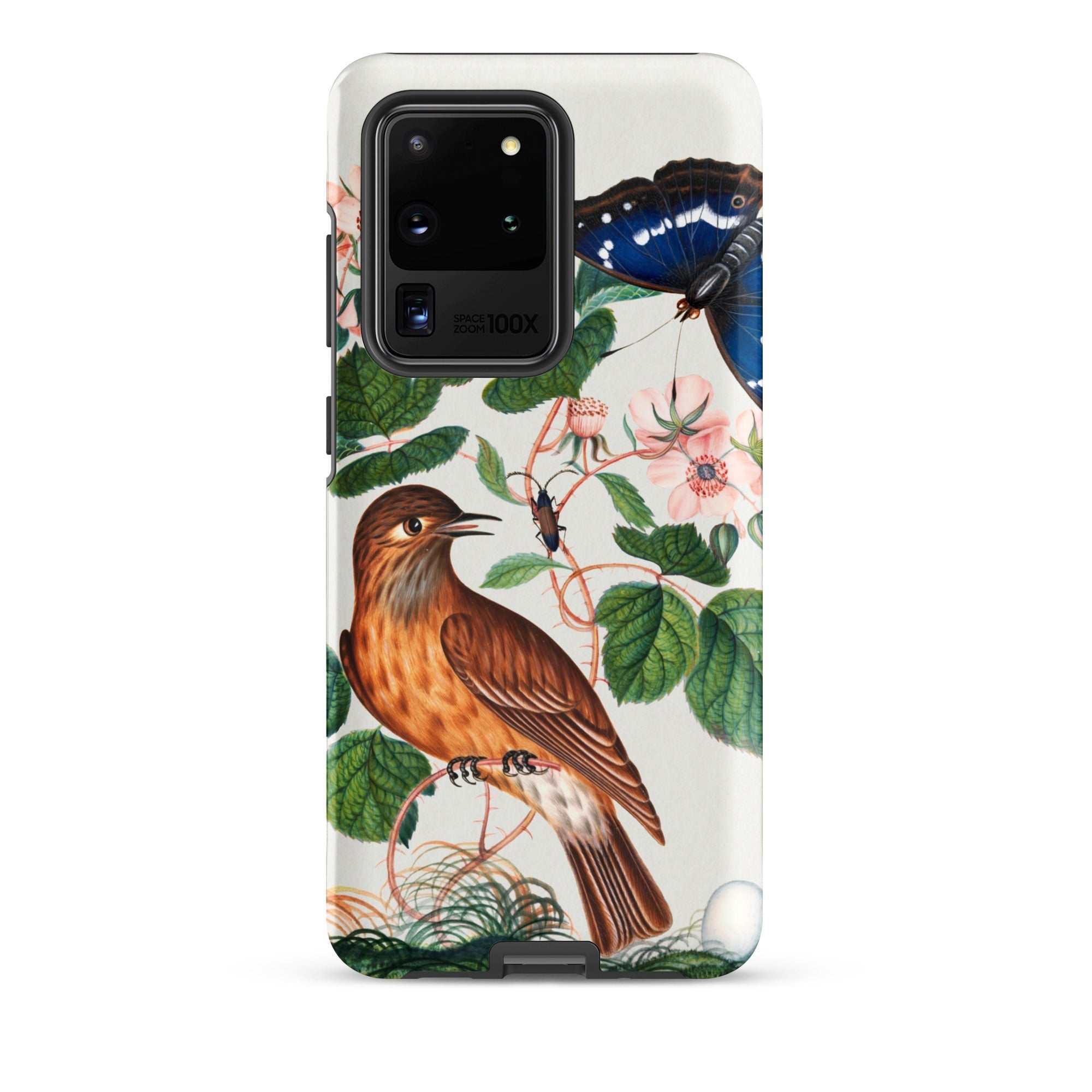 Flycatcher Emperor and Beetle James Bolton Samsung Case, Galaxy S20 Ultra / Matte, White Phone Case Nature Themed Illustration Bird