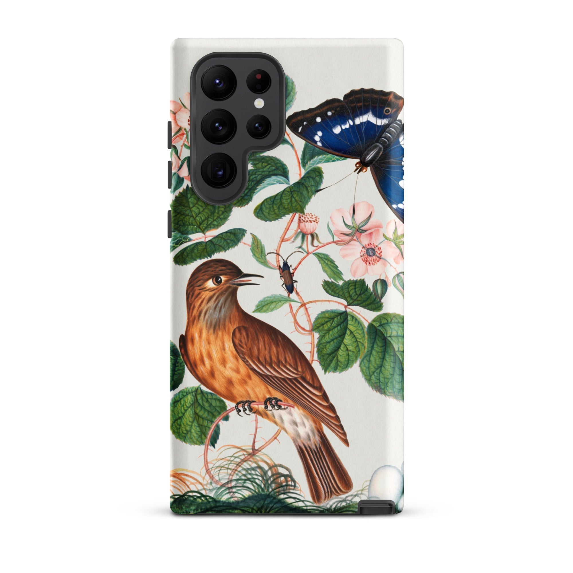 Flycatcher Emperor and Beetle James Bolton Samsung Case, Galaxy S22 Ultra / Matte, White Phone Case Vintage Botanical Wildlife Illustration