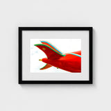 Flying High - Amusement Park Airplane Art Print / Canvas, Catapults, Retro Design Meets Avant-garde Photography Prints