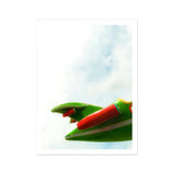 Flying High - Amusement Park Airplane Art Print / Canvas Red Chili Pepper Green Leaves Amusement Park Airplane, Airplane Art, Art Print