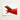 Vibrant Red Retro Airplane Tail Teal Gold Trim Amusement Park, Art Catapults, Design Meets Avant-garde Photography