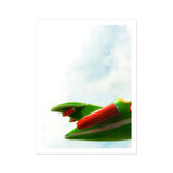 Flying High - Amusement Park Airplane Art Print, Red Chili Pepper Green Leaves