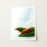 Vibrant Green Red Toy Airplane Glossy Finish Sleek Amusement Park, Art, Print