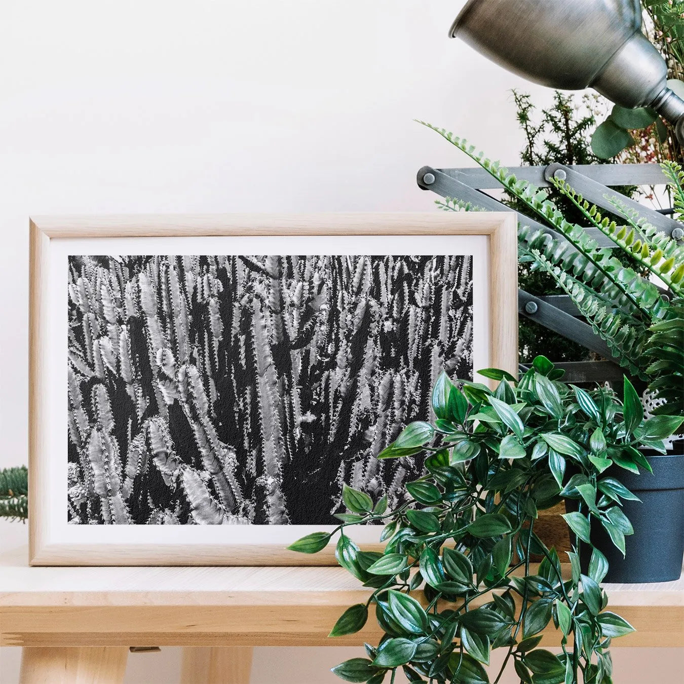 Forest For The Trees - black / White Succulent Art Print - 12×16 - Posters Prints & Visual Artwork - Aesthetic Art