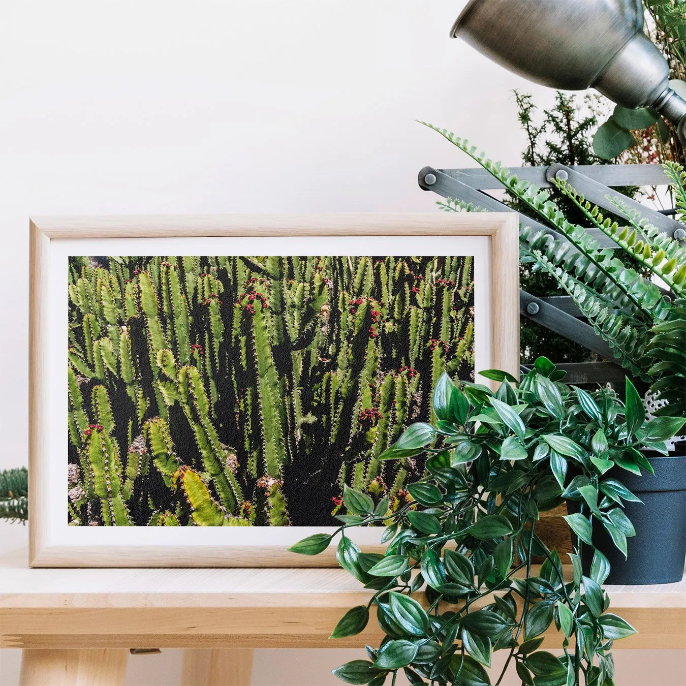Forest For The Trees - Succulent Art Print - 12×16 - Posters Prints & Visual Artwork - Aesthetic Art
