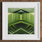 Semaphore - Palm Frond Botanical Op Art Print Posters Prints & Visual Artwork