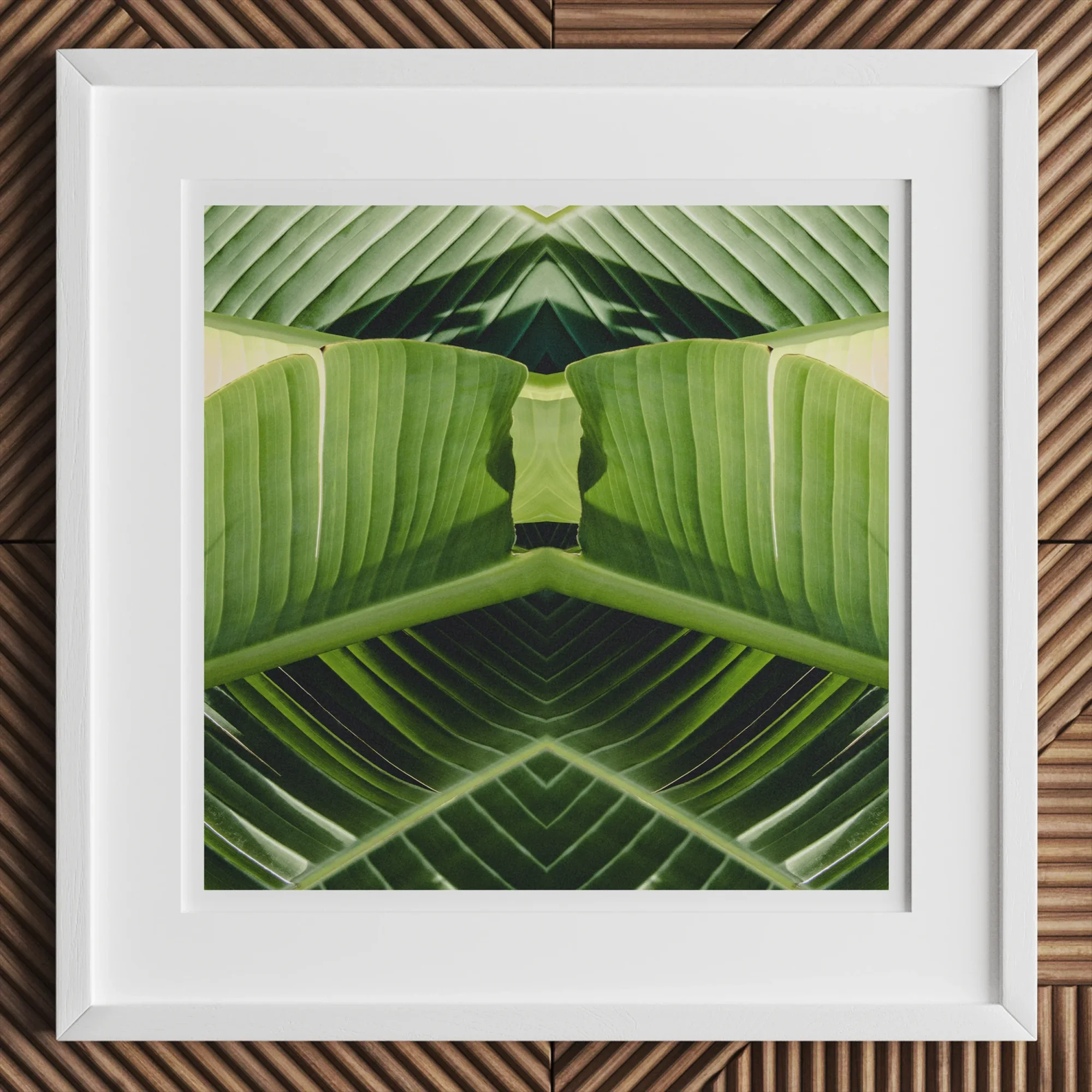 Semaphore - Palm Frond Botanical Op Art Print Posters Prints & Visual Artwork