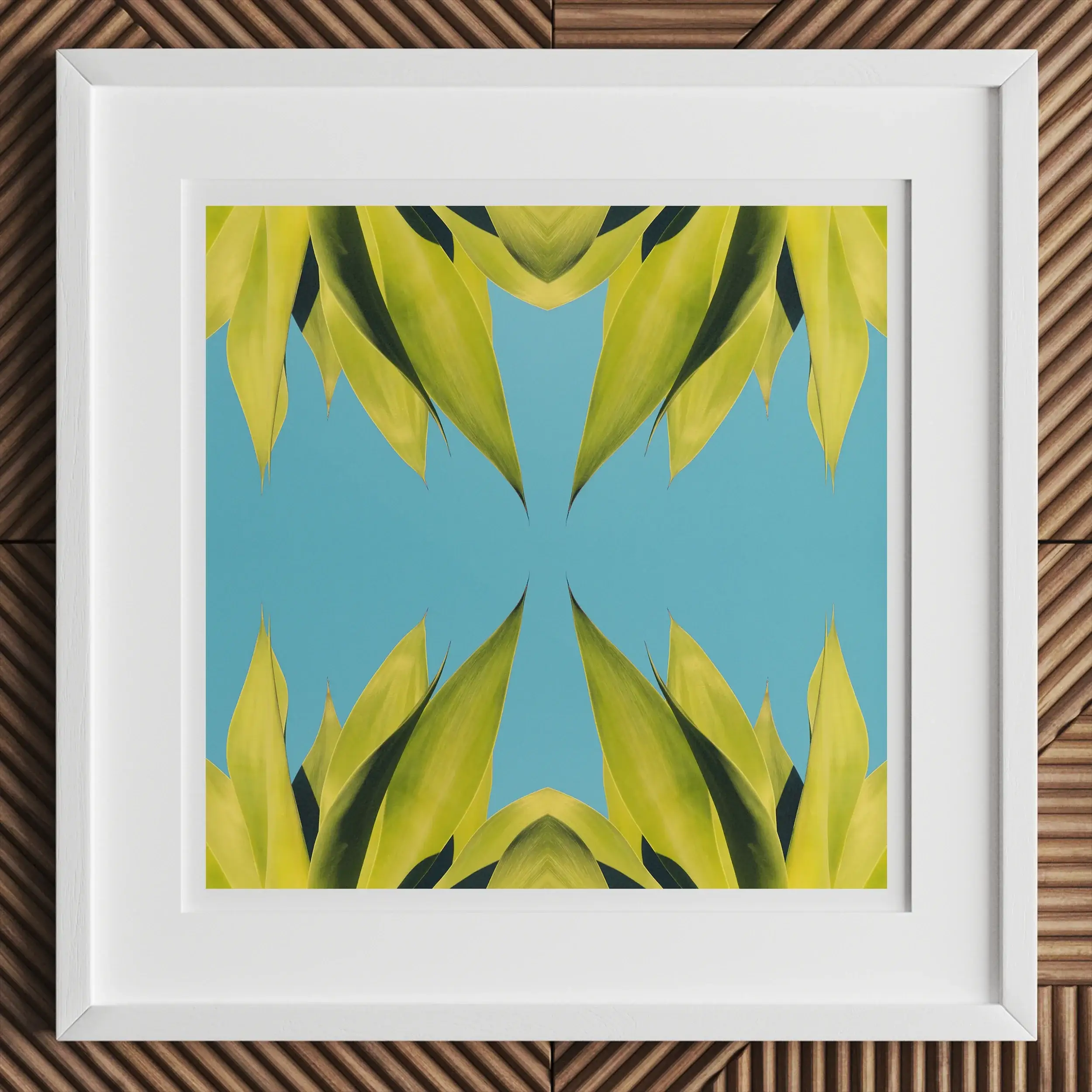 In Bloom - Trippy Modern Succulent Photography Art Print Posters Prints & Visual Artwork