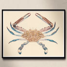 Blue Crab - Luigi Balugani Marine Life Art Print Posters Prints & Visual Artwork