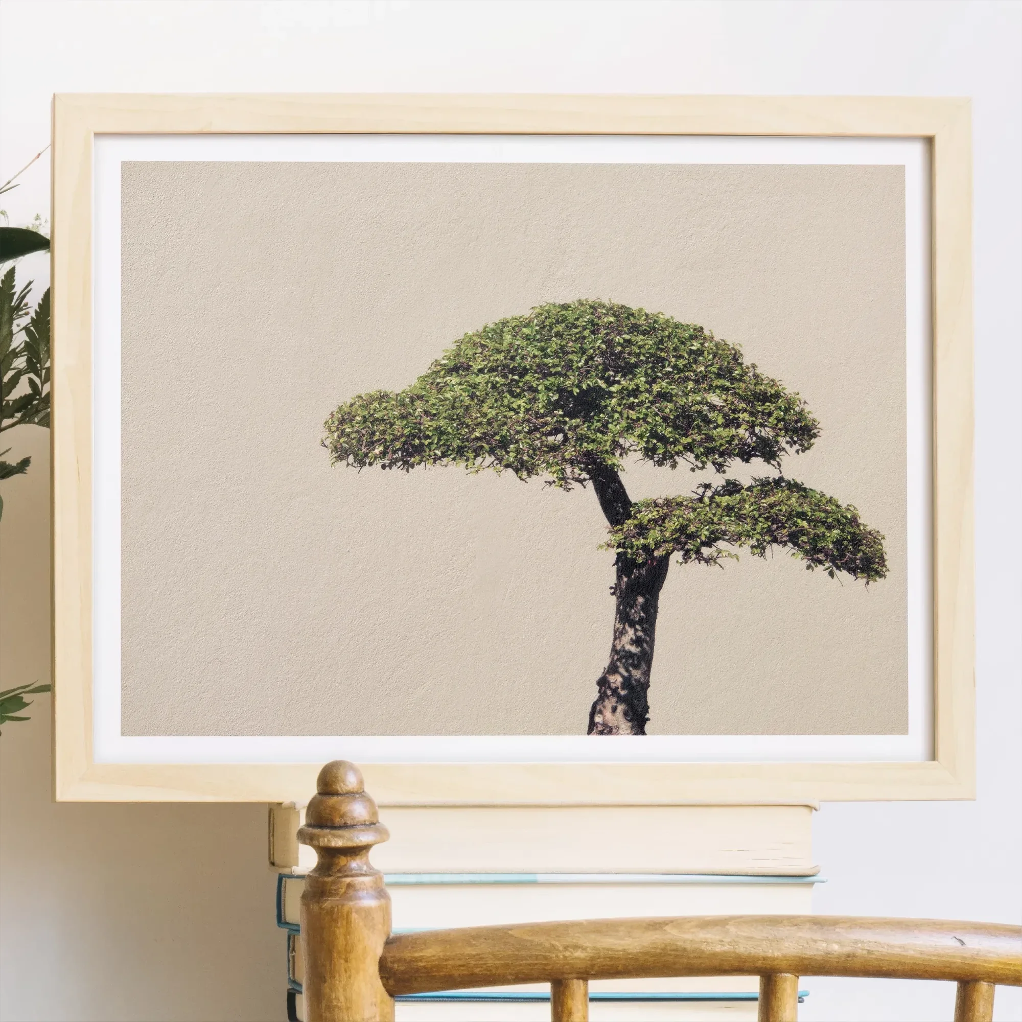 Me Myself & Bonsai - Photography Art Print Posters Prints Visual Artwork