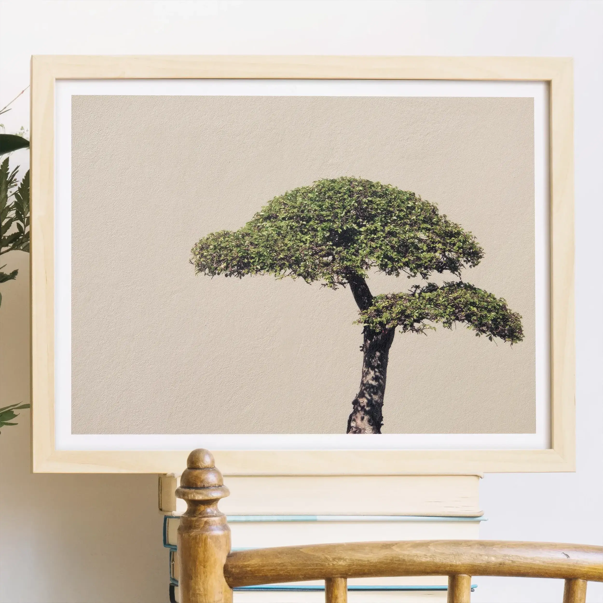 Me Myself & Bonsai Art Photography Print Posters Prints Visual Artwork