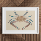 Blue Crab - Luigi Balugani Sea Life Art Print Posters Prints & Visual Artwork