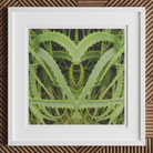 Spiked - Trippy Aloe Vera Botanical Art Print Posters Prints & Visual Artwork