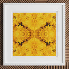 Gold Rush - Trippy Chrysanthemum Art Print Posters Prints & Visual Artwork