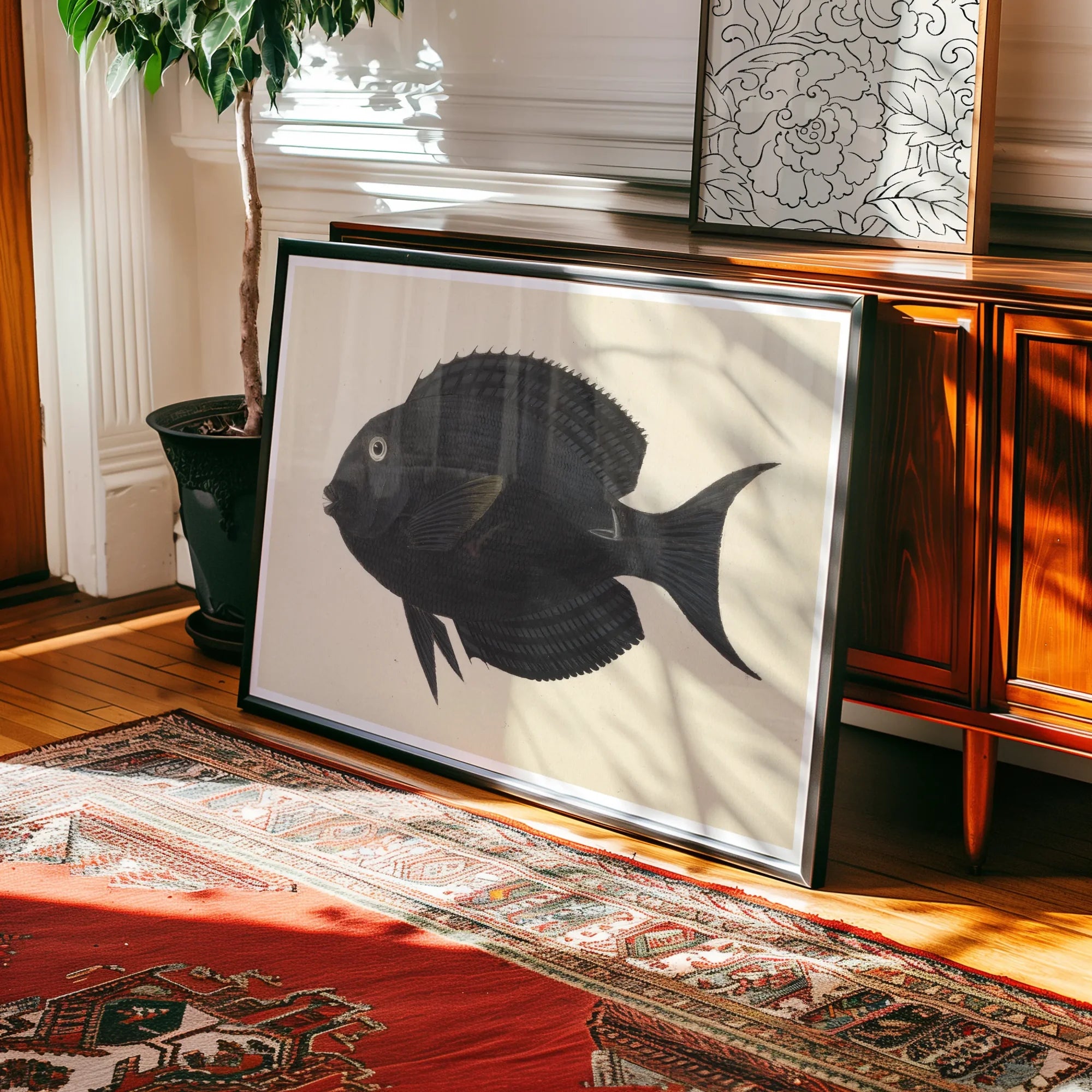 Black Surgeonfish - Luigi Balugani Sea Life Art Print Posters Prints & Visual Artwork