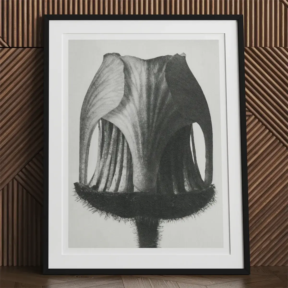 Framed black and white floral print inspired by Karl Blossfeldt’s botanical photography