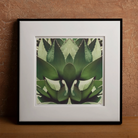 Open Wide - Succulent Agave Op Art Print Posters Prints & Visual Artwork