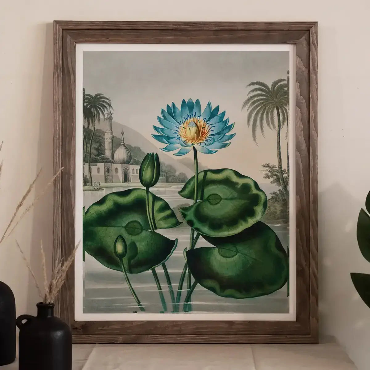 Framed blue lotus botanical print from Robert John Thornton’s Temple of Flora illustrations