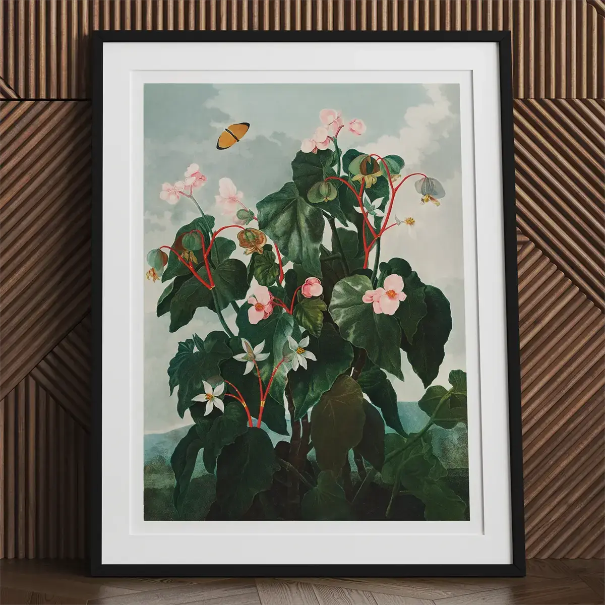 Framed botanical print from Robert John Thornton’s Temple of Flora with vivid illustrations