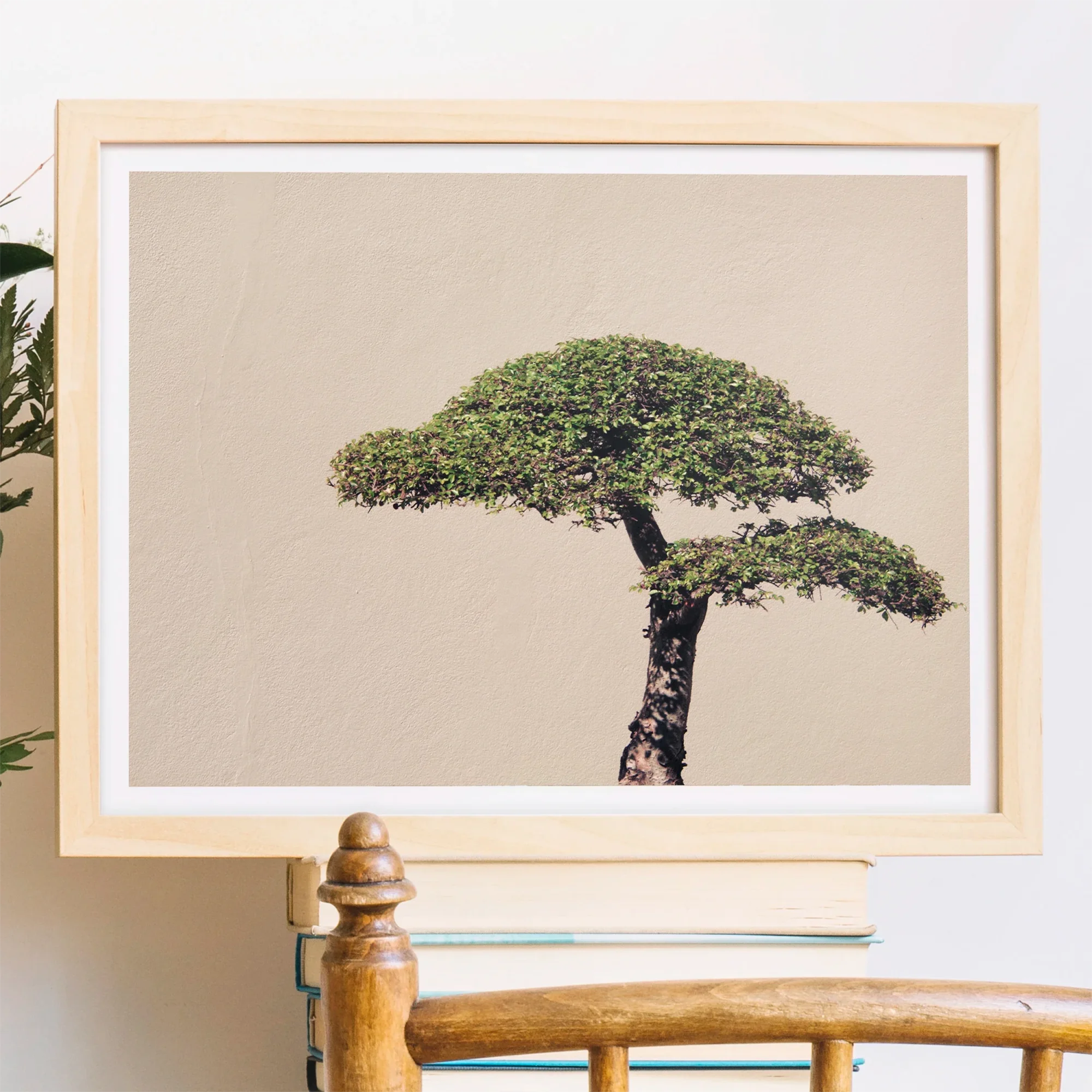 Me Myself & Bonsai - Photography Art Print Posters Prints Visual Artwork