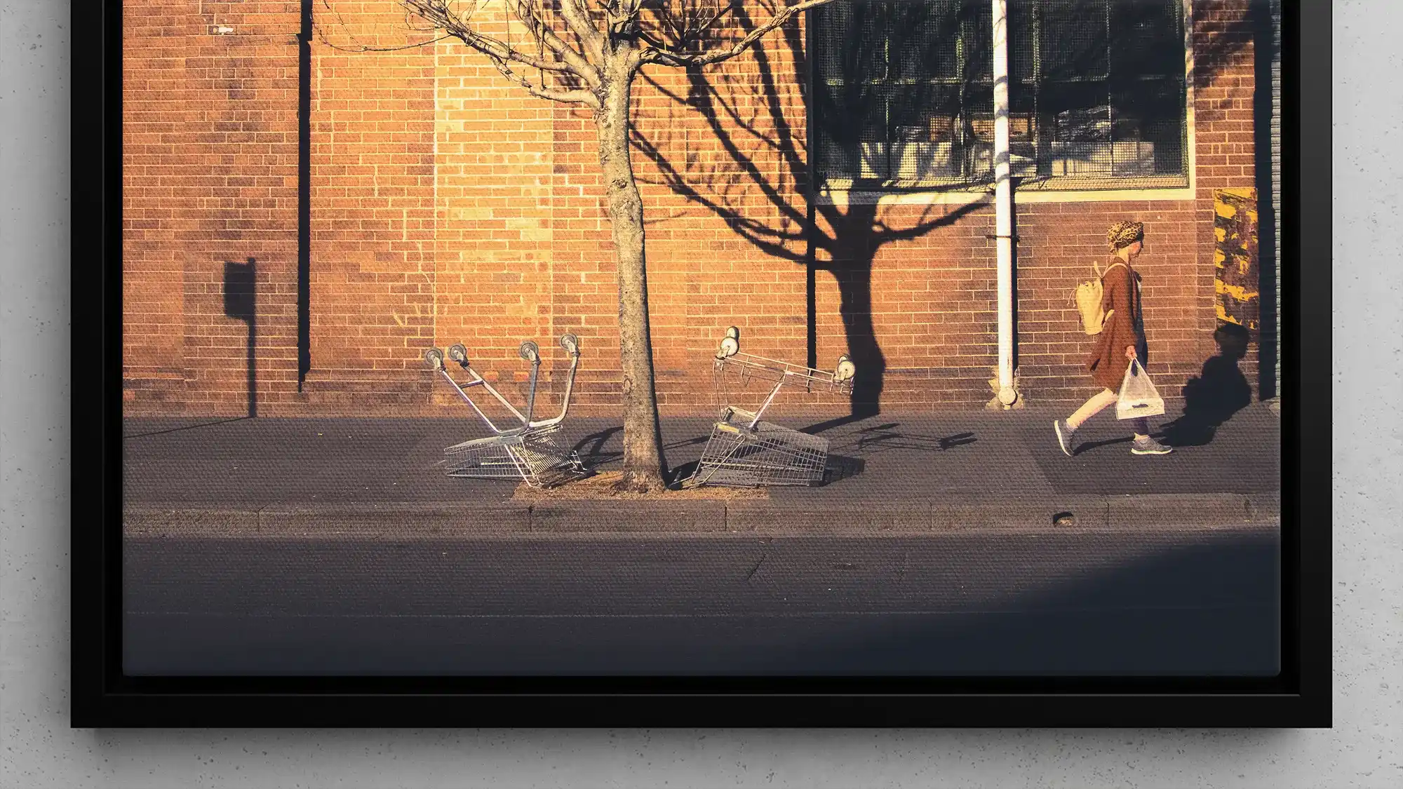 Framed photograph showing pigeons on a sidewalk near a brick wall.