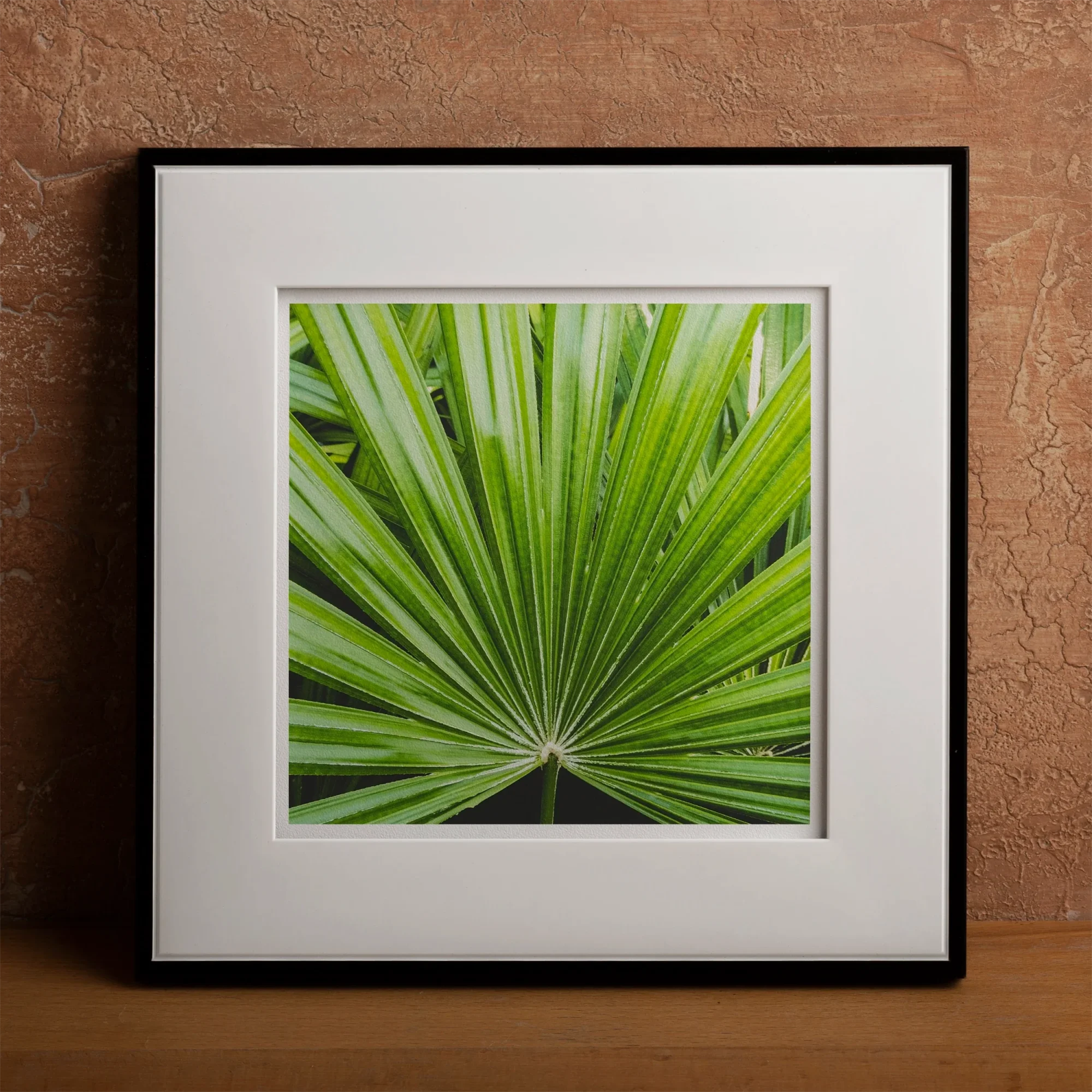 Peacocky - Koh Chang Palm Frond Art Print Posters Prints & Visual Artwork