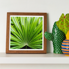 Peacocky - Koh Chang Palm Frond Art Print Posters Prints & Visual Artwork