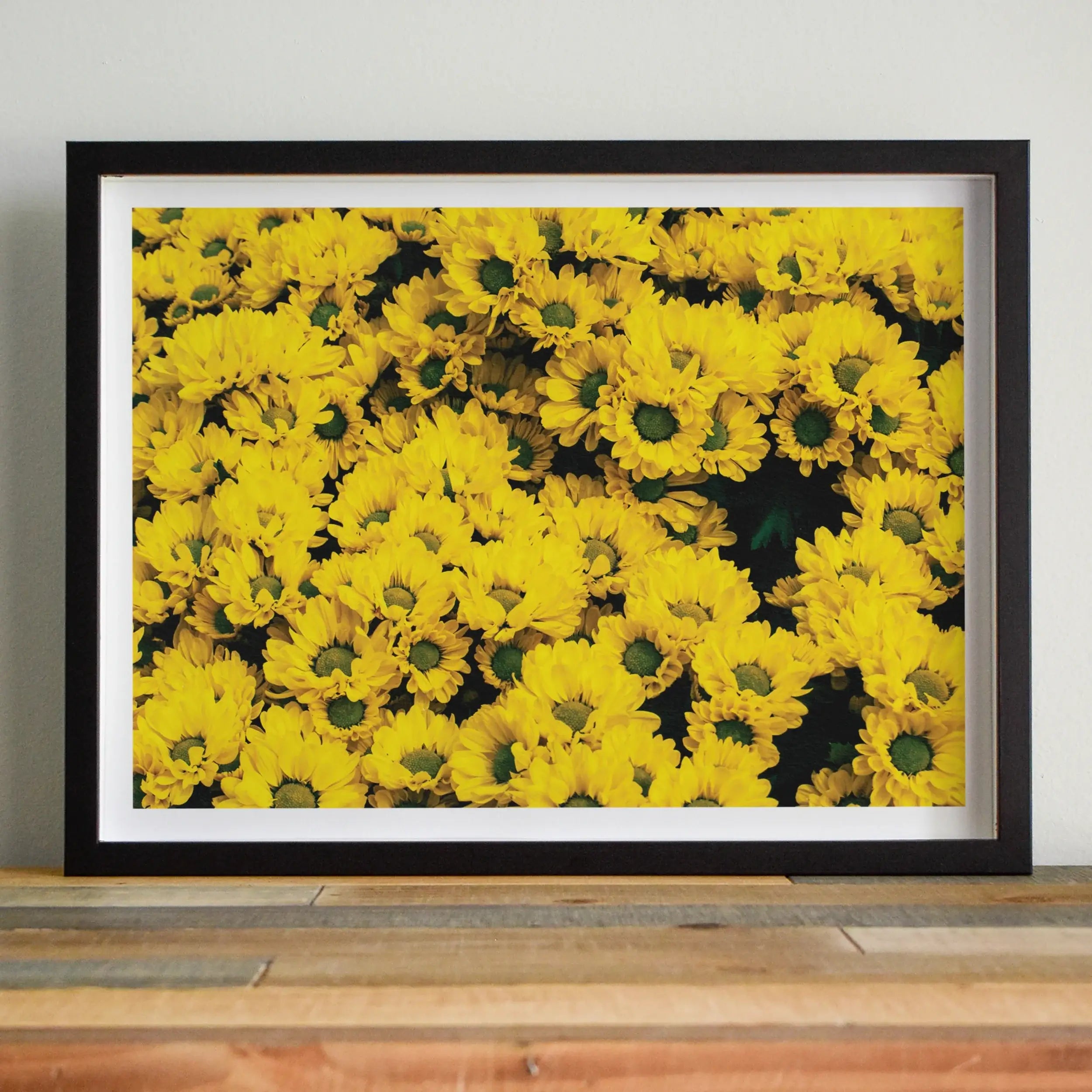 Yellow Brick Road - Chrysanthemum Photography Art Print Posters Prints & Visual Artwork