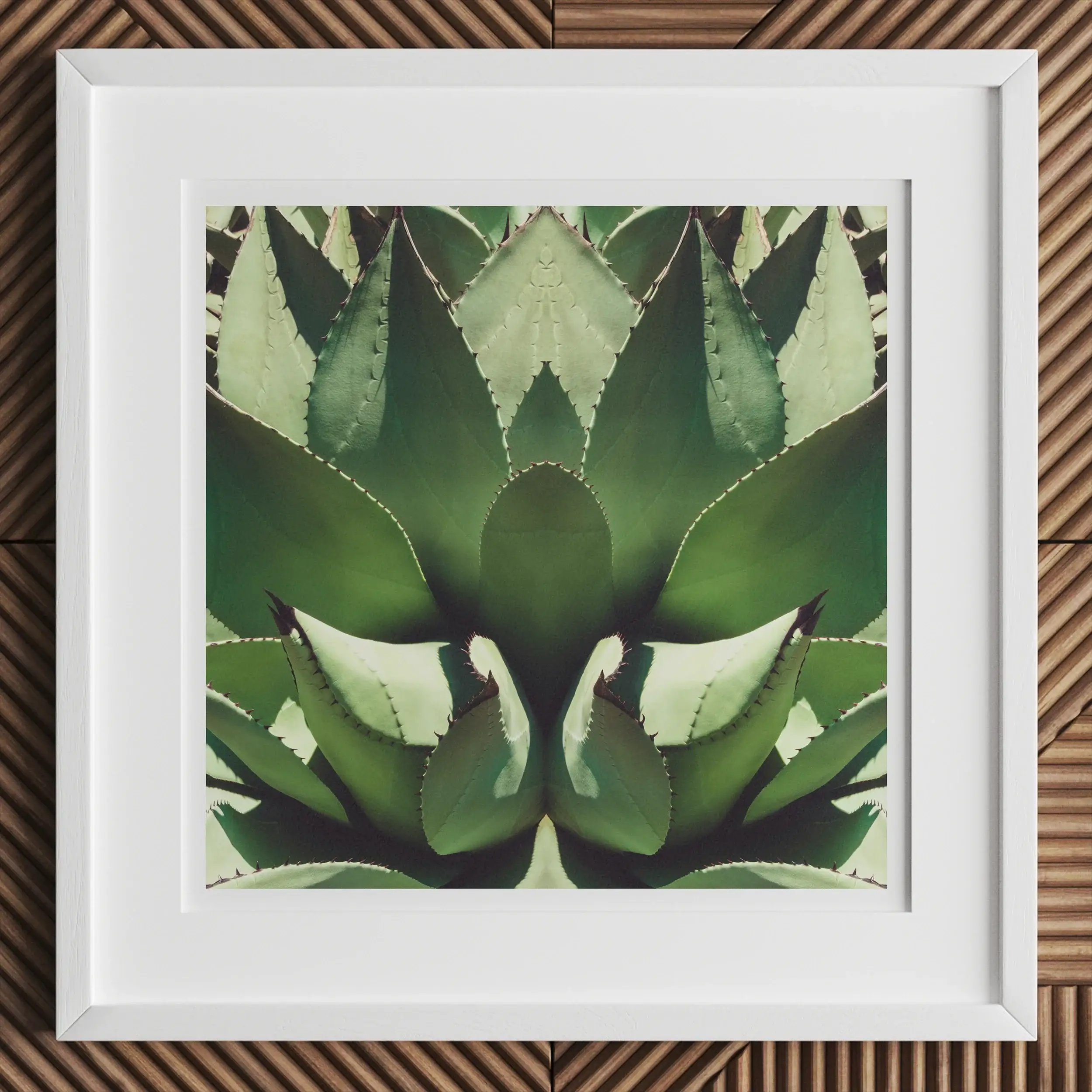 Open Wide - Trippy Succulent Agave Plant Art Print Posters Prints & Visual Artwork