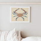 Blue Crab - Luigi Balugani Marine Life Art Print Posters Prints & Visual Artwork