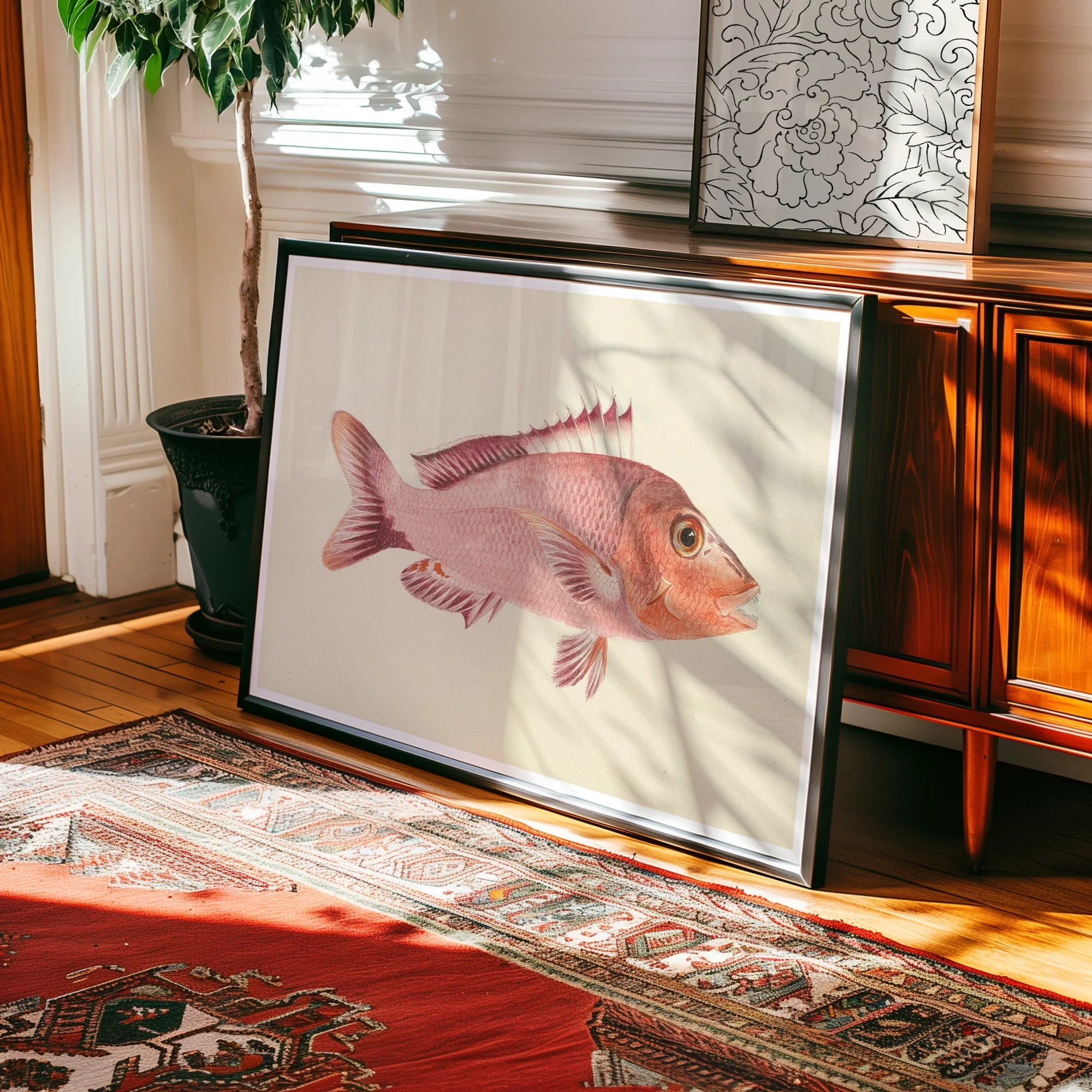 Red Snapper - Luigi Balugani Sea Life Art Print Posters Prints & Visual Artwork