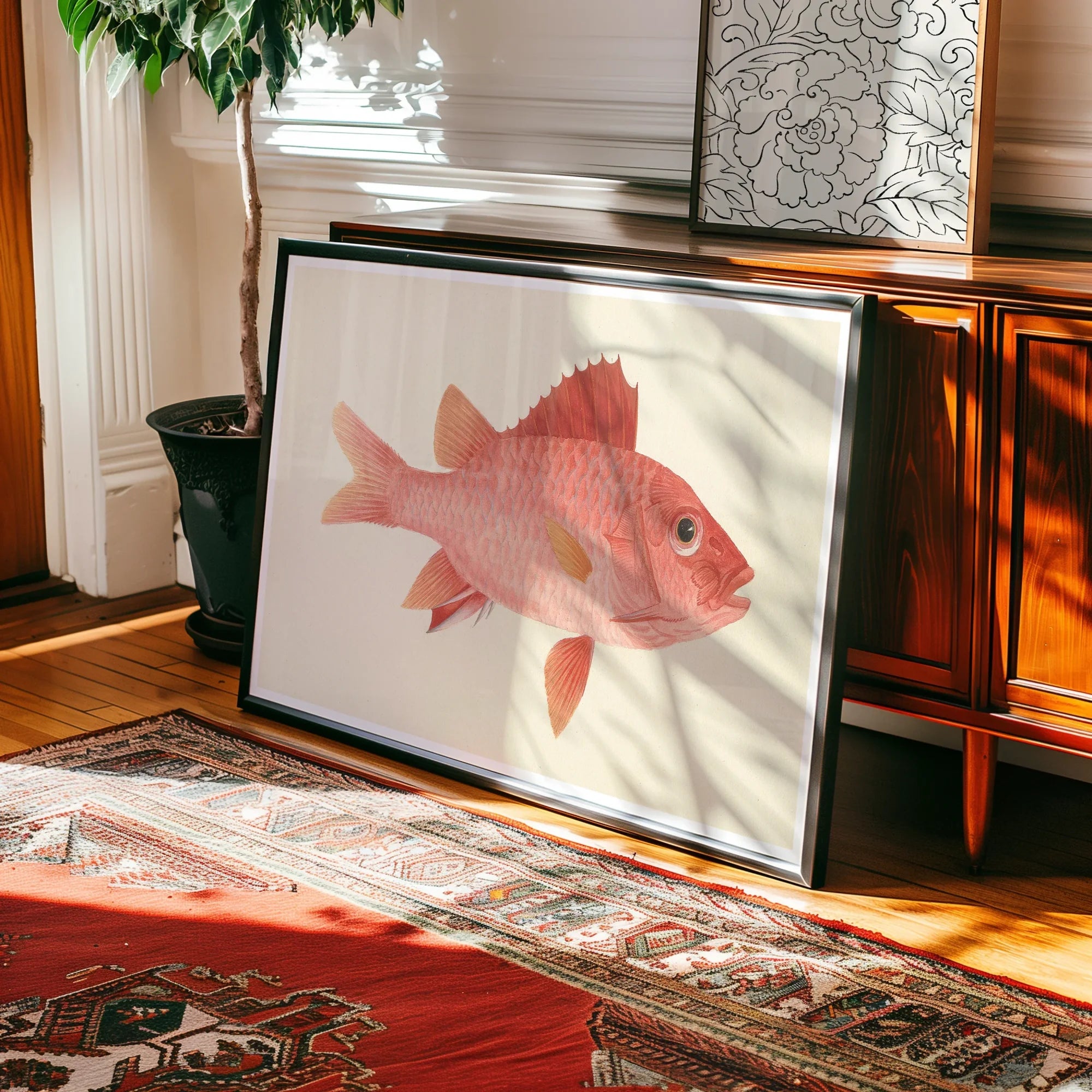 Caribbean Red Snapper - Luigi Balugani Sea Life Art Print Posters Prints & Visual Artwork