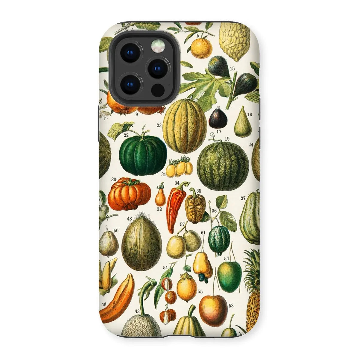 Fruits And Vegetables Art Phone Case - Nouveau Larousse Illustre - Iphone 12 Pro / Matte - Mobile Phone Cases