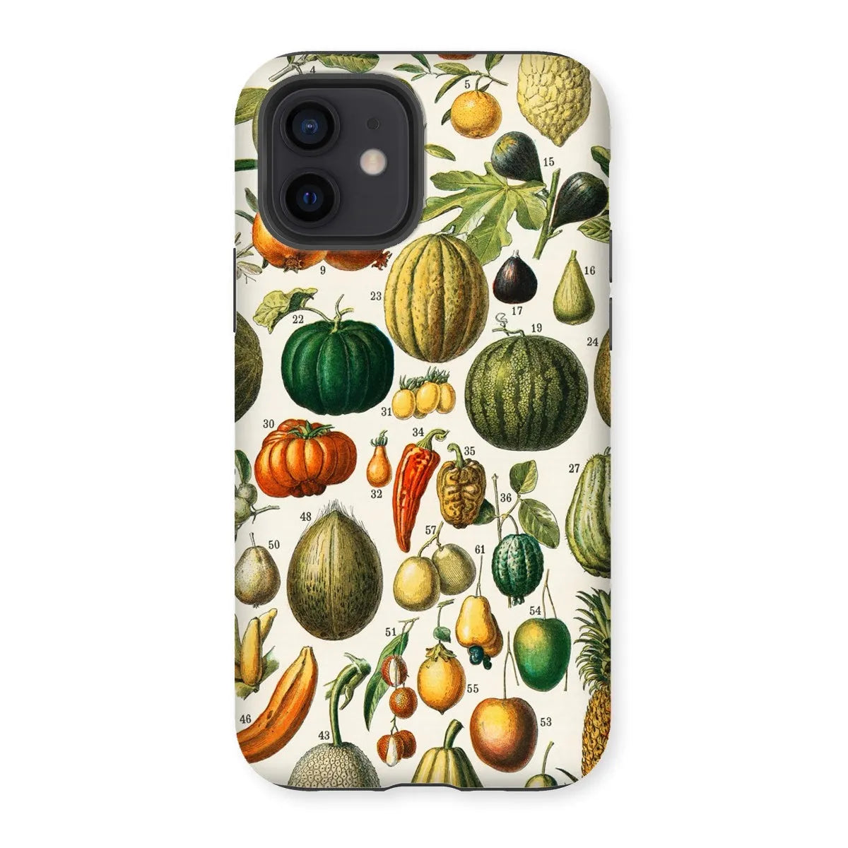 Fruits And Vegetables Art Phone Case - Nouveau Larousse Illustre - Iphone 12 / Matte - Mobile Phone Cases - Aesthetic