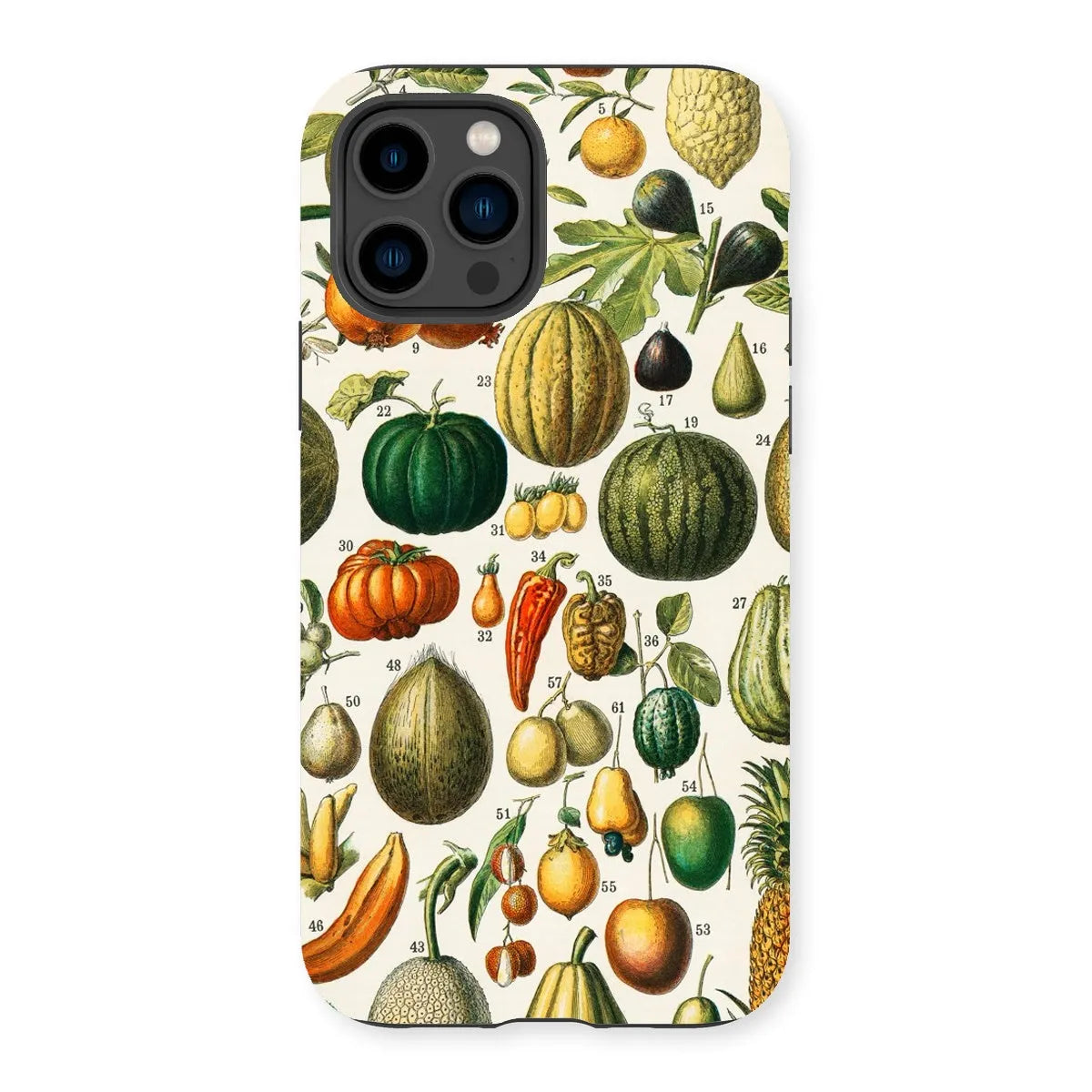 Fruits And Vegetables Art Phone Case - Nouveau Larousse Illustre - Iphone 14 Pro / Matte - Mobile Phone Cases